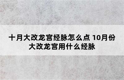 十月大改龙宫经脉怎么点 10月份大改龙宫用什么经脉